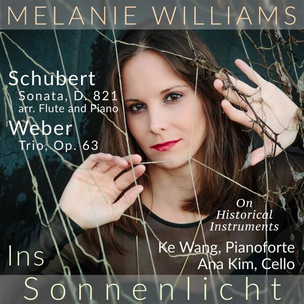 Cover art for Ins Sonnenlicht